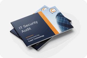 Mini IT Security Audit Resource