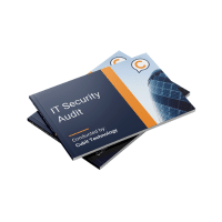 Mini IT Security Audit